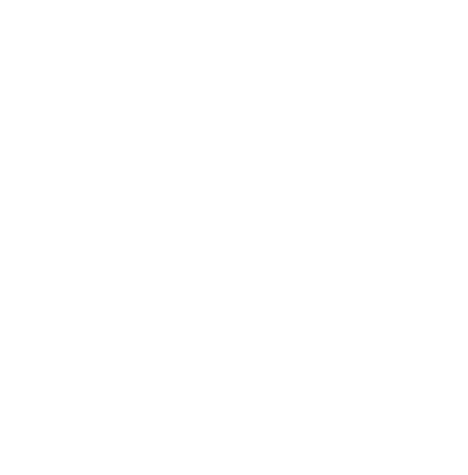 SS Insurance - USA